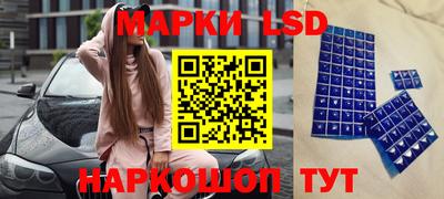 прущие крисы Славгород