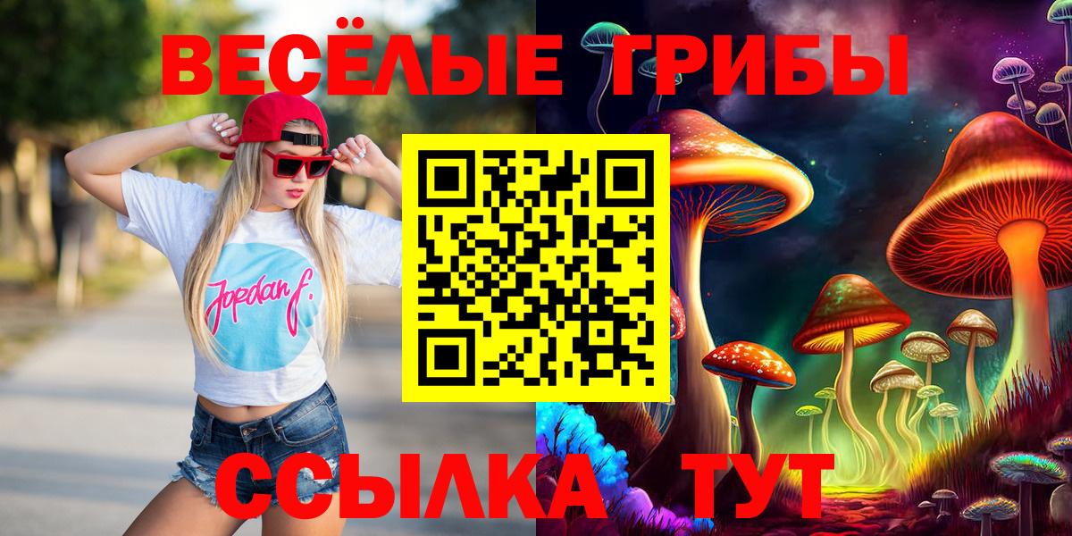 Псилоцибиновые грибы ЛСД Бахчисарай