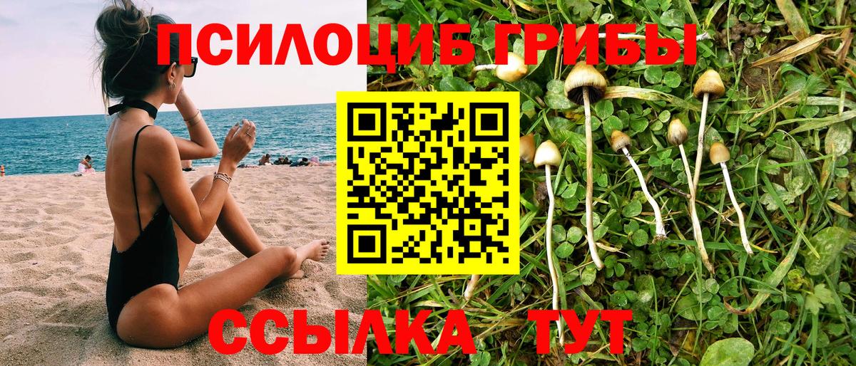 Псилоцибиновые грибы прущие грибы  Вход с VPN  Бахчисарай 